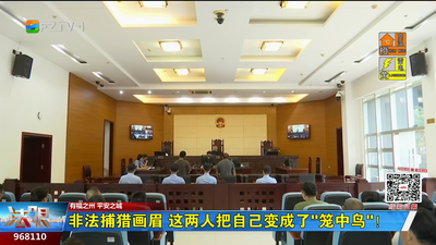 非法捕猎画眉 这两人把自己变成了“笼中鸟”！