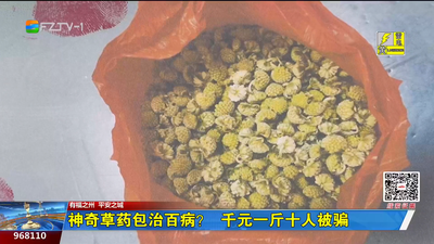 神奇草药包治百病？千元一斤十人被骗