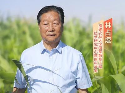 公益广告 | 林占熺：寸草向春晖 让菌草造福世界
