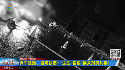 弃车逃跑、当场饮酒？ 这些“招数”换来刑罚加重！