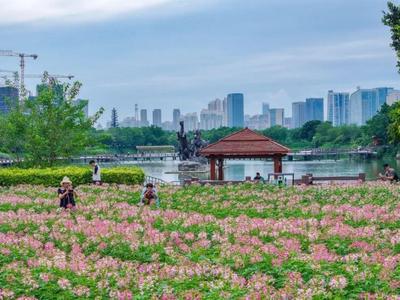 1.5万㎡！福州花海公园再添新景！