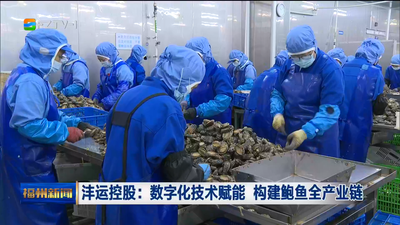 沣运控股：数字化技术赋能 构建鲍鱼全产业链