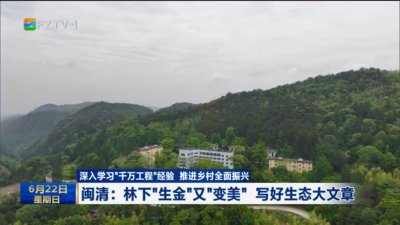 闽清：林下“生金”又“变美” 写好生态大文章