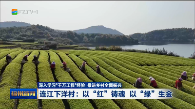 深入学习“千万工程”经验 推进乡村全面振兴 连江下洋村：以“红”铸魂 以“绿”生金 