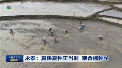 永泰：夏耕夏种正当时 粮食播种忙