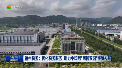 福州税务：优化税务服务 助力中印尼“两国双园”经贸发展