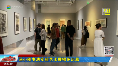 汤小刚·书法实验艺术展福州启幕