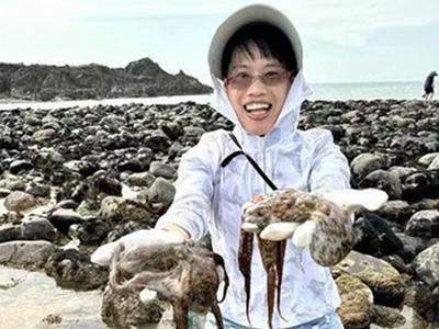 马祖掀起赶海热