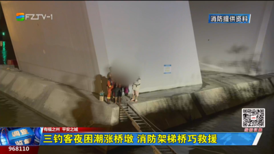 三钓客夜困潮涨桥墩 消防架梯桥巧救援
