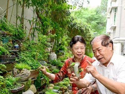 新晋全国文明家庭陈元春家庭为福州文化传承添砖加瓦