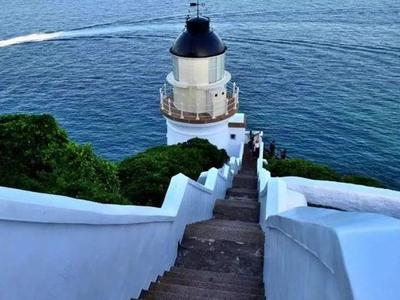 马祖东引岛迎来盛花季 夏日赏鸥活动20日启动