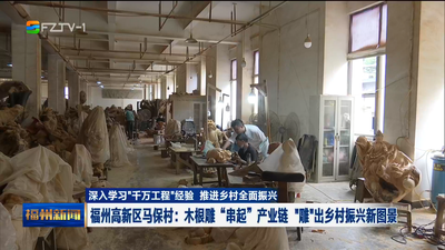 福州高新区马保村：木根雕“串起”产业链 “雕”出乡村振兴新图景
