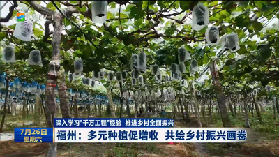 福州：多元种植促增收 共绘乡村振兴画卷