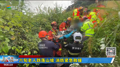 六旬老人跌落山坡 消防紧急救援