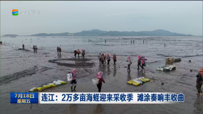 连江：2万多亩海蛏迎来采收季 滩涂奏响丰收曲
