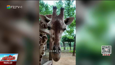 他竟然拥有“动物读心术”？