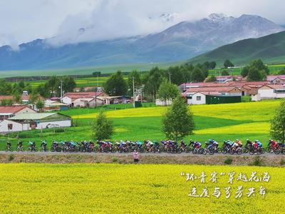 “环青赛”穿越门源30万亩油菜花海，速度与芬芳在高原共舞
