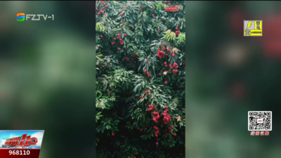福州人的夏日甜蜜记忆