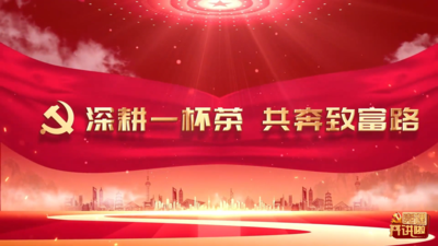 深耕一杯茶 共奔致富路