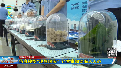 仿真模型“現(xiàn)場說法” 讓禁毒知識深入人心