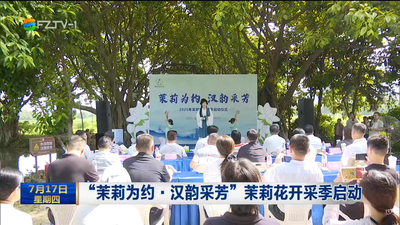 “茉莉为约·汉韵采芳”茉莉花开采季启动