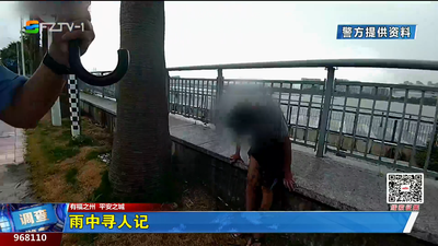 雨中寻人记