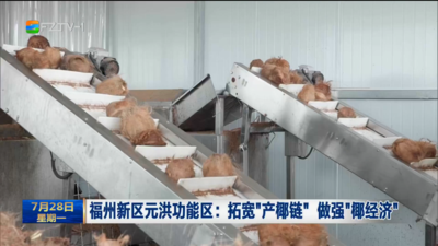 福州新区元洪功能区：拓宽“产椰链” 做强“椰经济”