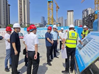 市政协农业和农村委聚焦茶城建设 开展专项民主监督