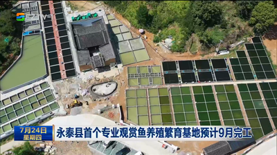 永泰县首个专业观赏鱼养殖繁育基地预计9月完工
