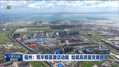 福州：筑牢根基激活动能 绘就高质量发展图景