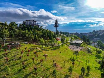 鼓岭29500平方米新地标来了！中美青年友谊林即将迎客