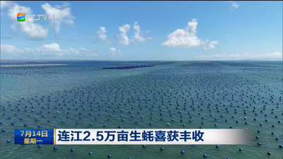 连江2.5万亩生蚝喜获丰收
