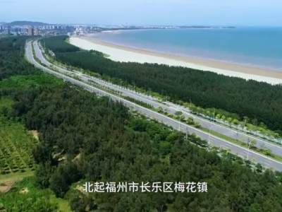 新华网关注：藏在沿海防护林带里的生态智慧