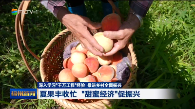 夏果丰收忙  “甜蜜经济”促振兴