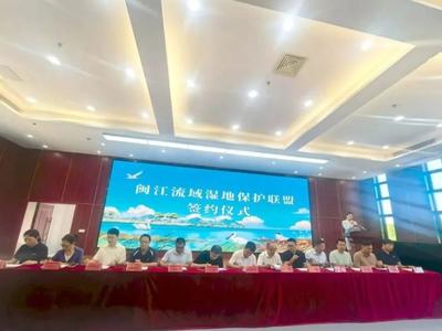 委员在行动｜政协委员走进闽江河口湿地 推动闽江流域生态保护联盟成立