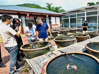 解锁福州金鱼产业发展新动能