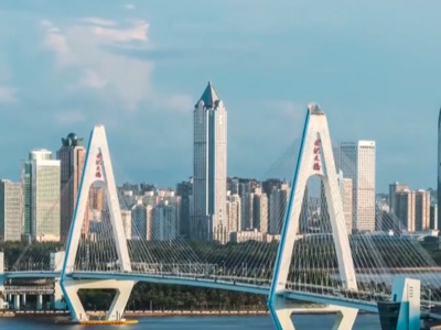 中国经济圆桌会丨“零关税”政策会为企业带来什么好处?