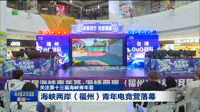 海峡两岸（福州）青年电竞营落幕
