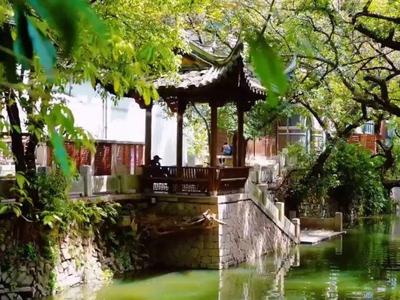 千城百县看中国丨福建福州：绿染榕城画中行