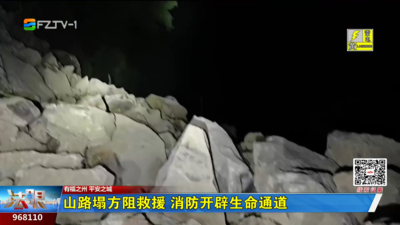 山路塌方阻救援 消防开辟生命通道