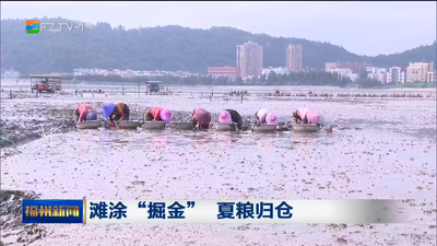 滩涂“掘金” 夏粮归仓