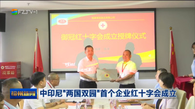 中印尼“两国双园”首个企业红十字会成立