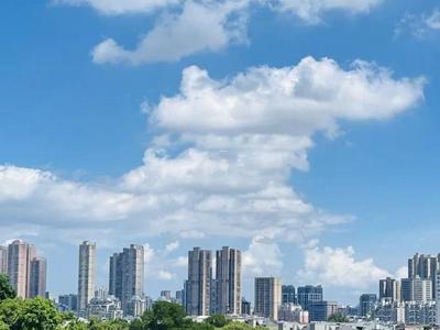最新！台风“杨柳”路径突变！福州今起正式进入……