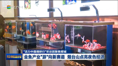 “活力中国调研行”采访团聚焦榕城 金鱼产业“游”向新赛道 烟台山点亮夜色经济