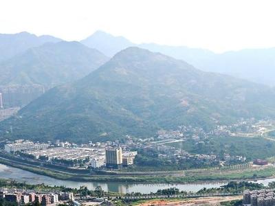 解码永泰“中国青梅第一村”致富经：开山种果 向山要宝
