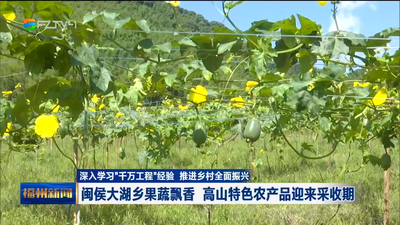闽侯大湖乡果蔬飘香 高山特色农产品迎来采收期