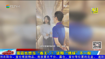 菌菇也想当“卷王”？这颗“绣球”不一般