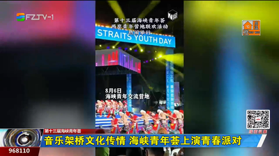 音乐架桥文化传情 海峡青年荟上演青春派对