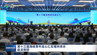 第十三届海峡青年连心汇在福州举办  赵龙致辞