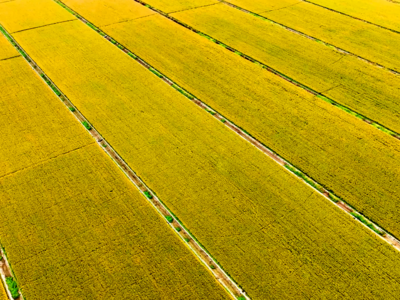 五省联动，推出“丰收连连看”大型直播活动